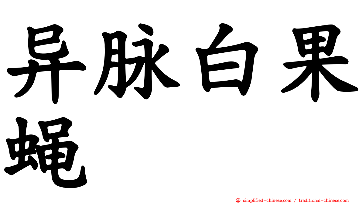 异脉白果蝇
