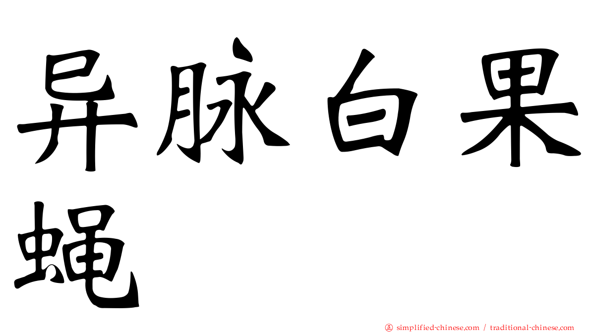 异脉白果蝇