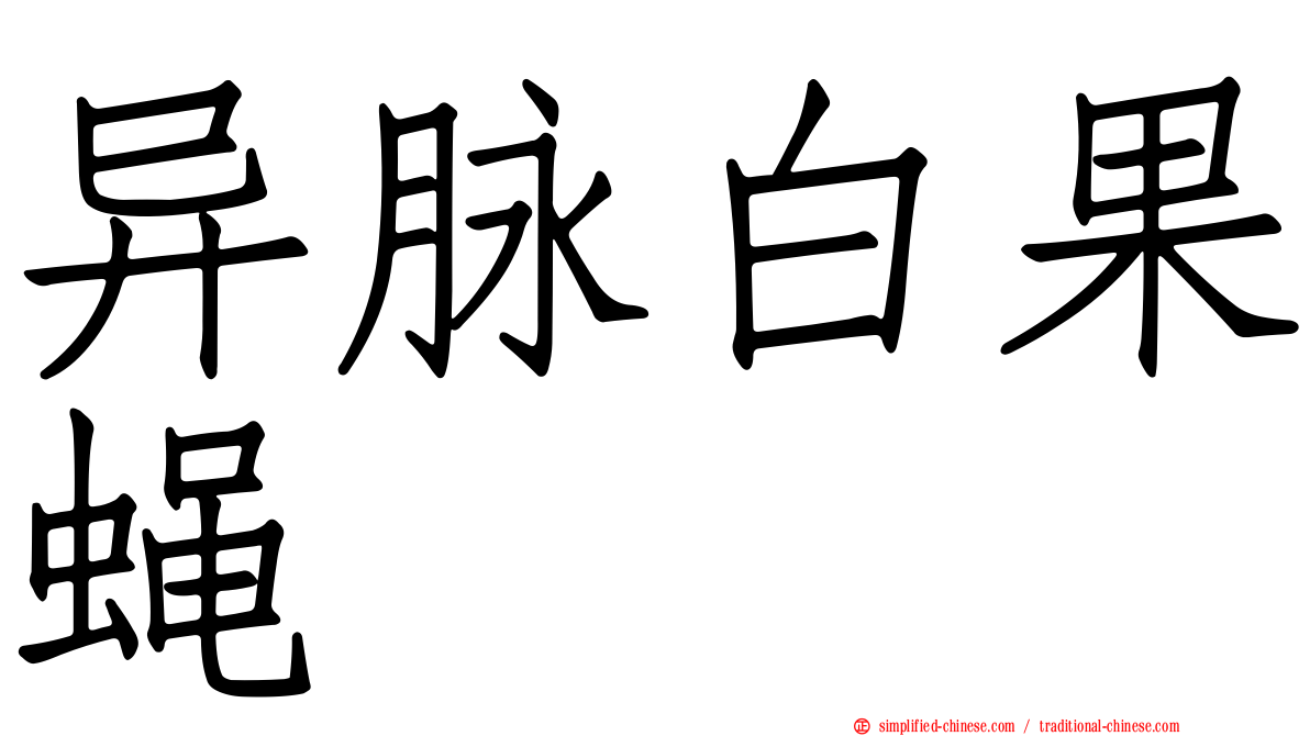 异脉白果蝇