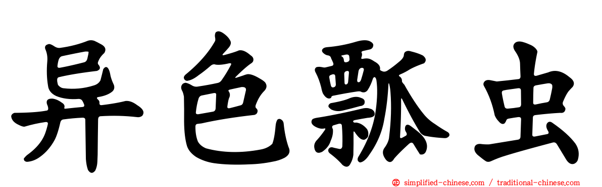 异色瓢虫