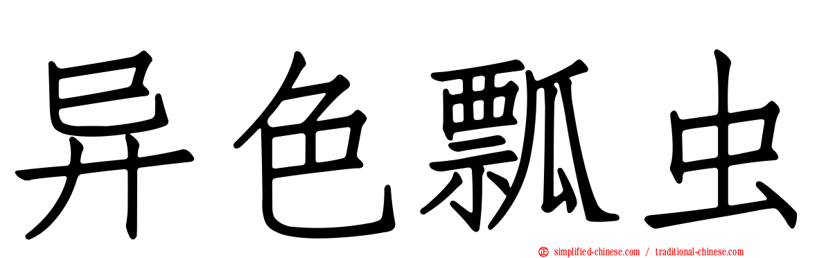 异色瓢虫