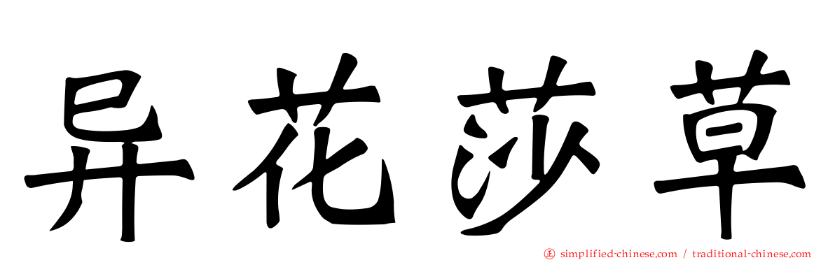 异花莎草