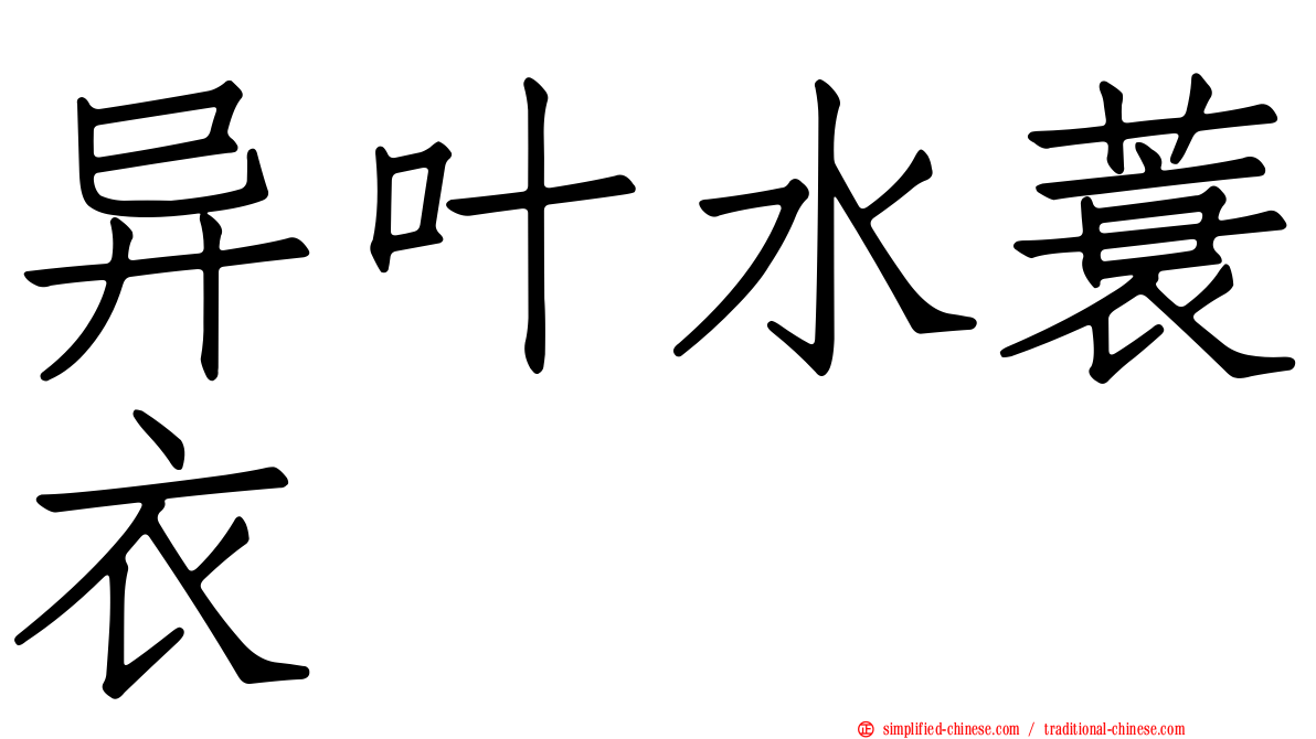 异叶水蓑衣