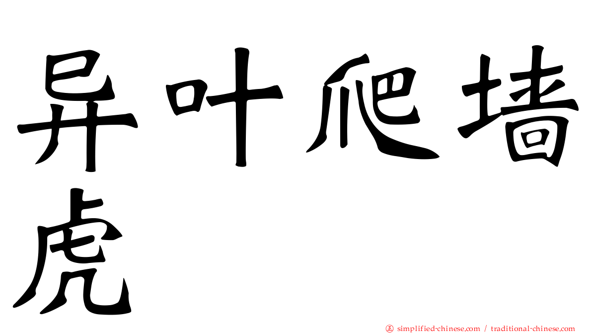 异叶爬墙虎