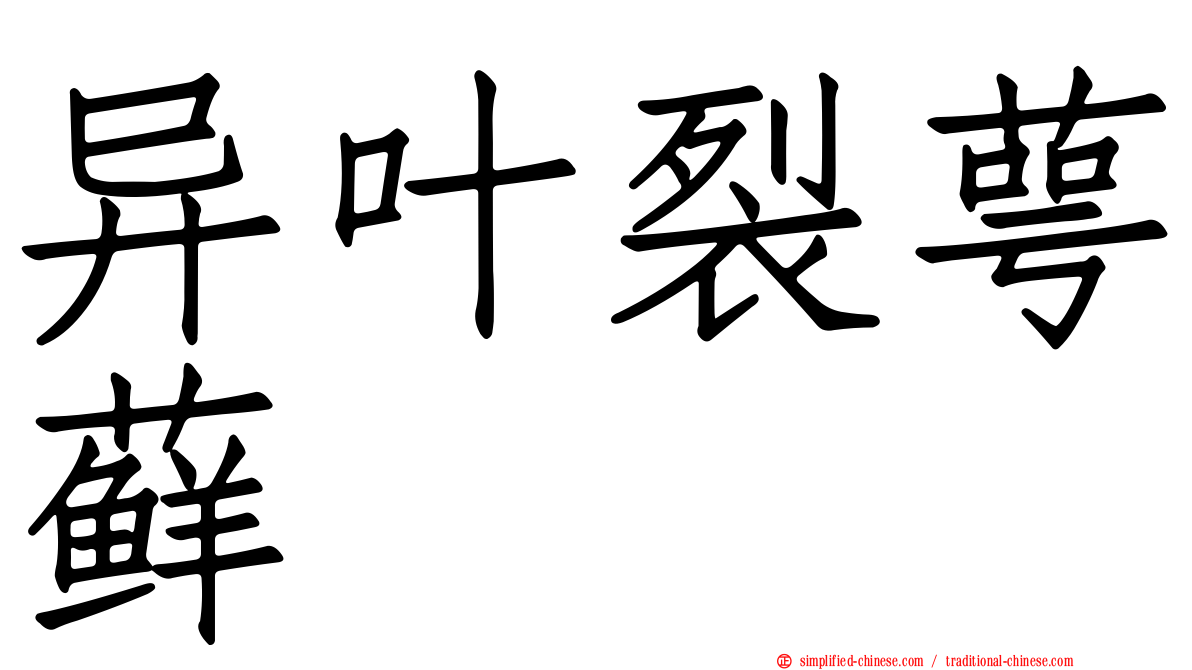 异叶裂萼藓