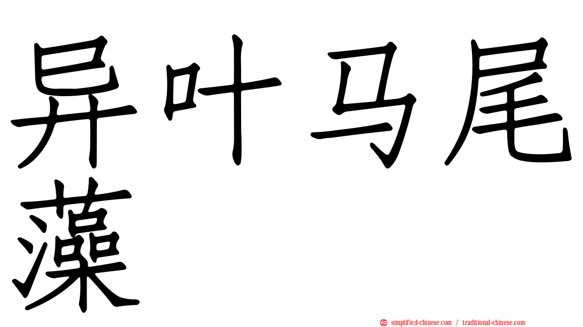 异叶马尾藻