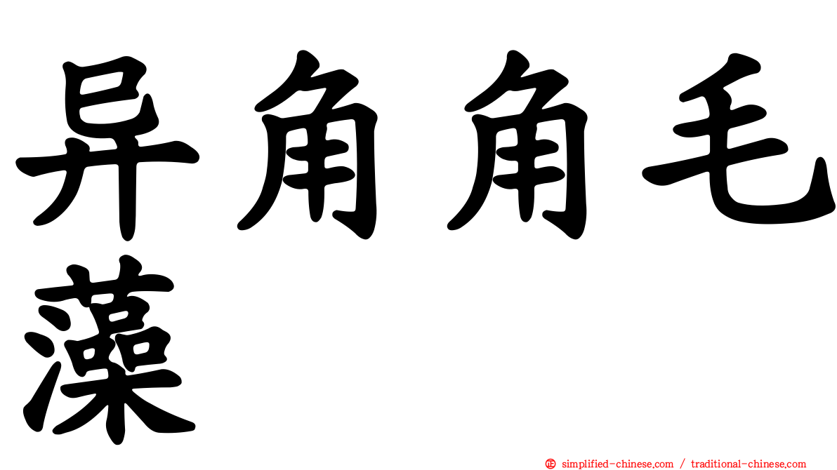 异角角毛藻