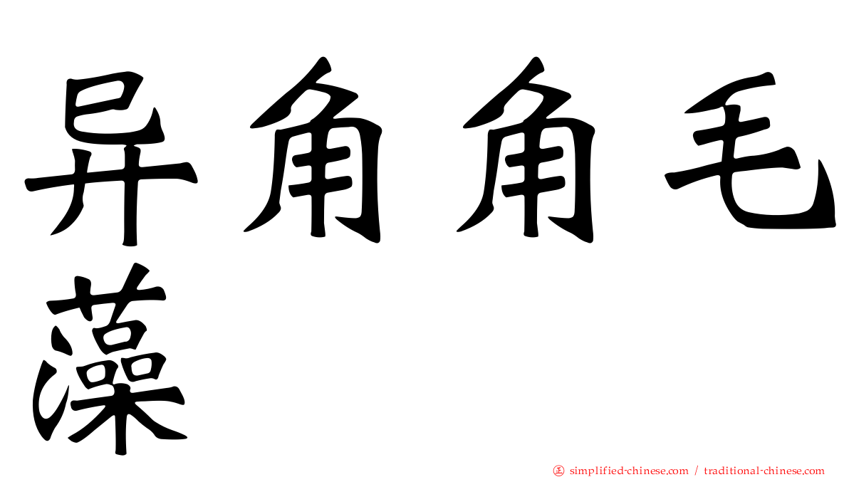 异角角毛藻