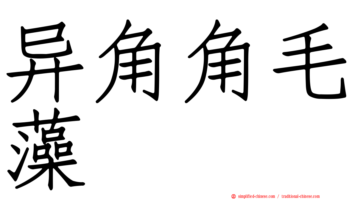 异角角毛藻