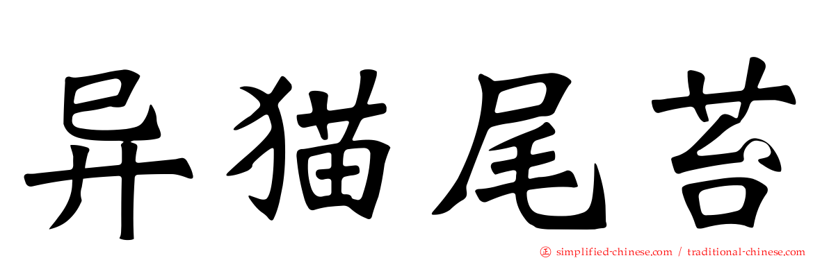 异猫尾苔