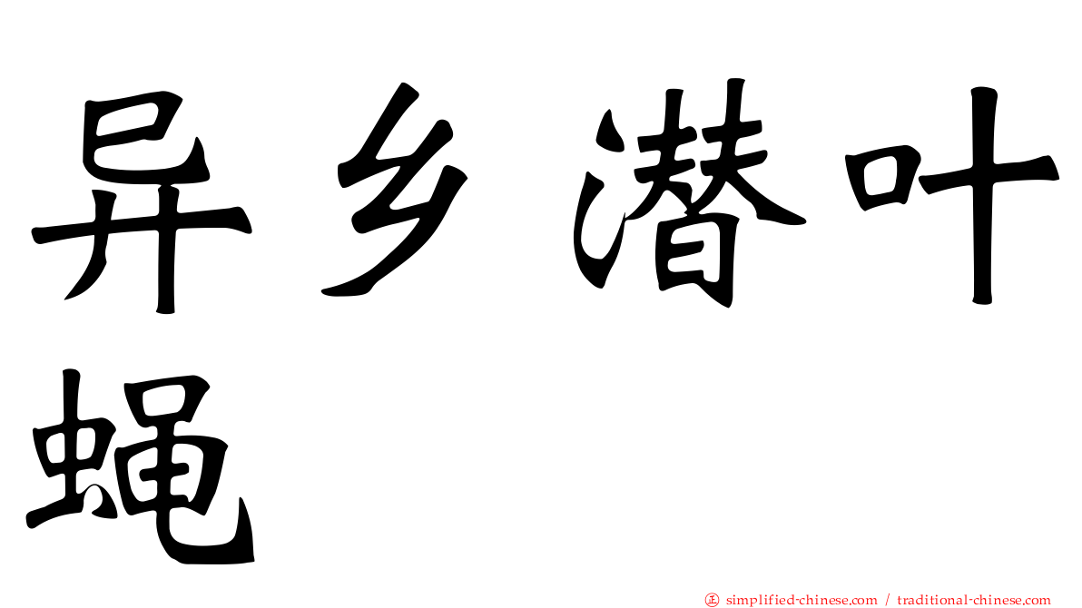 异乡潜叶蝇