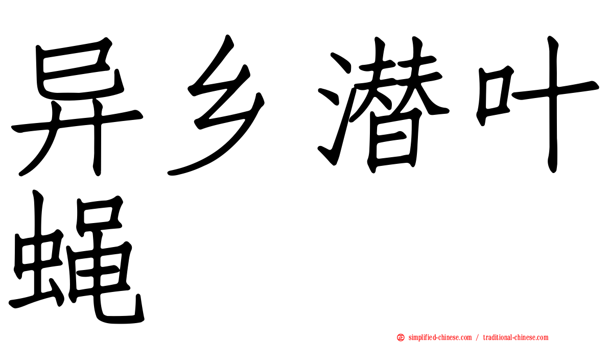 异乡潜叶蝇