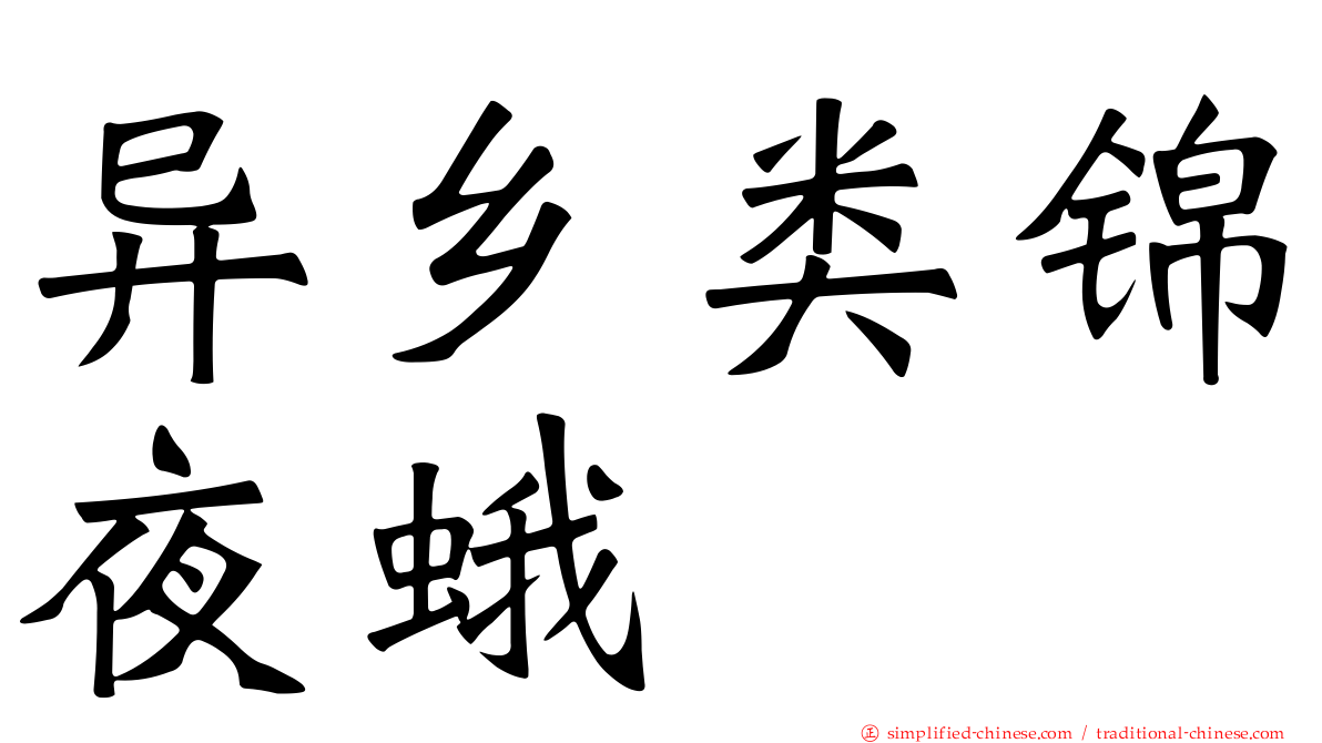 异乡类锦夜蛾
