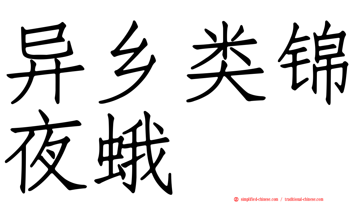 异乡类锦夜蛾
