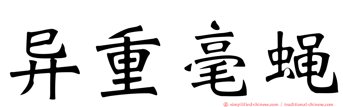 异重毫蝇