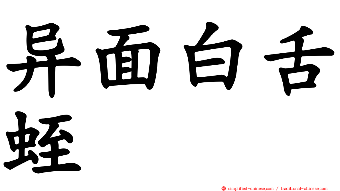异面白舌蛭