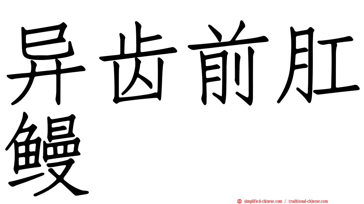异齿前肛鳗