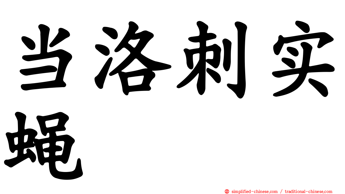 当洛刺实蝇