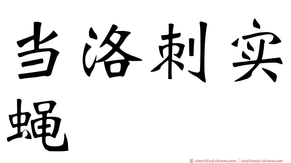 当洛刺实蝇