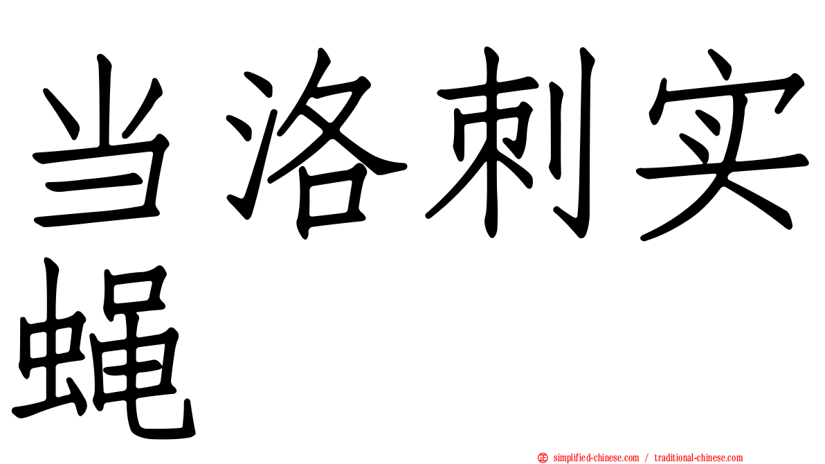 当洛刺实蝇