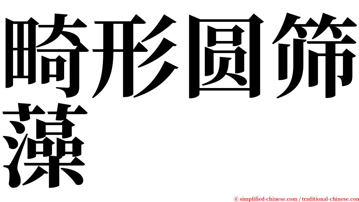畸形圆筛藻 serif font