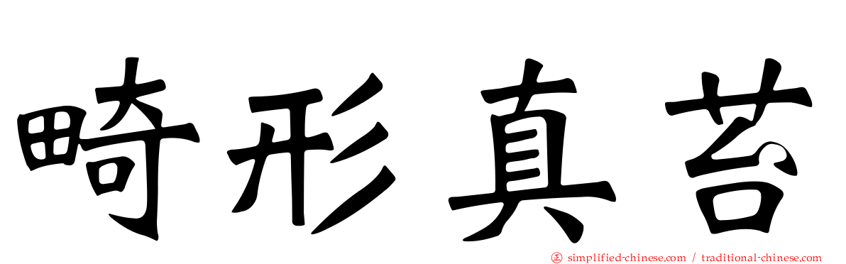 畸形真苔