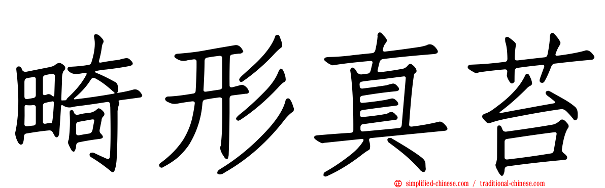畸形真苔