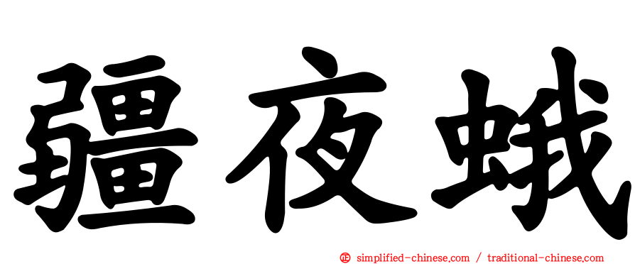 疆夜蛾