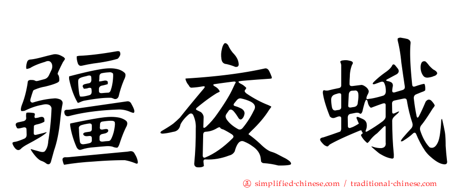 疆夜蛾