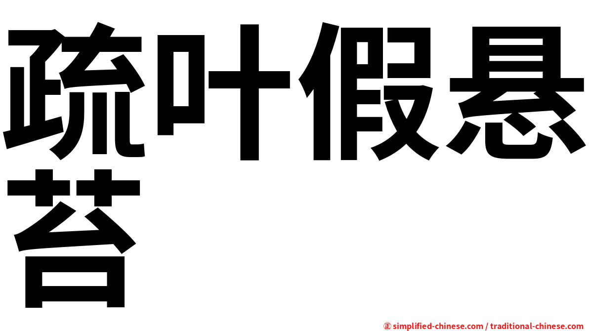 疏叶假悬苔