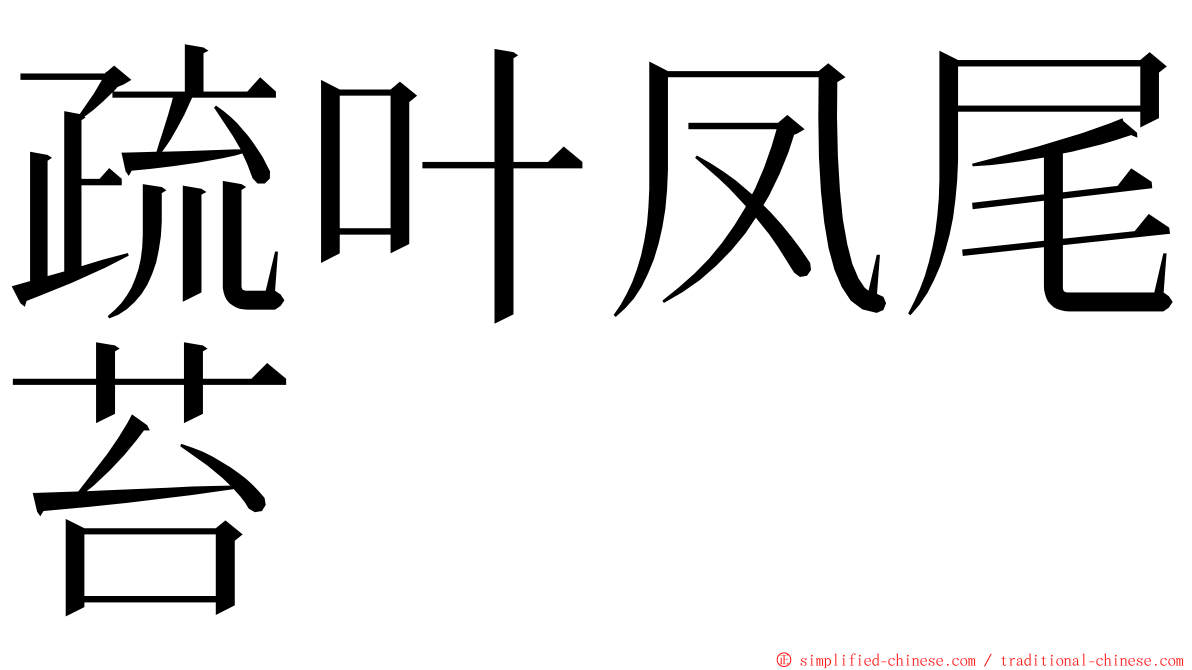 疏叶凤尾苔 ming font