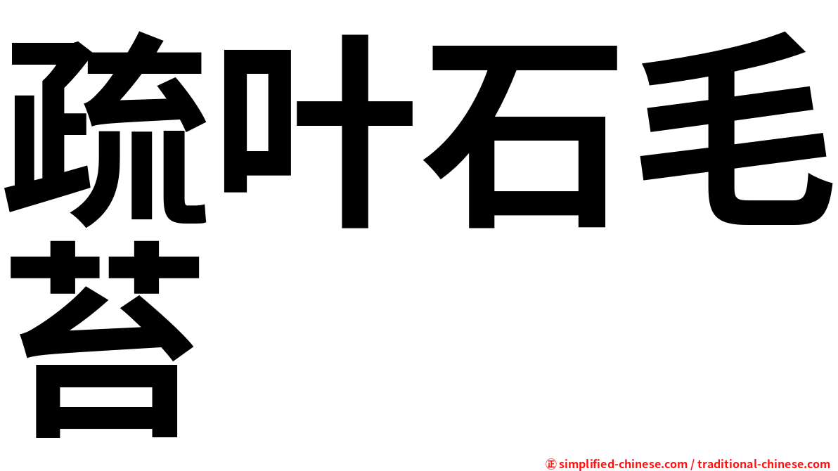 疏叶石毛苔