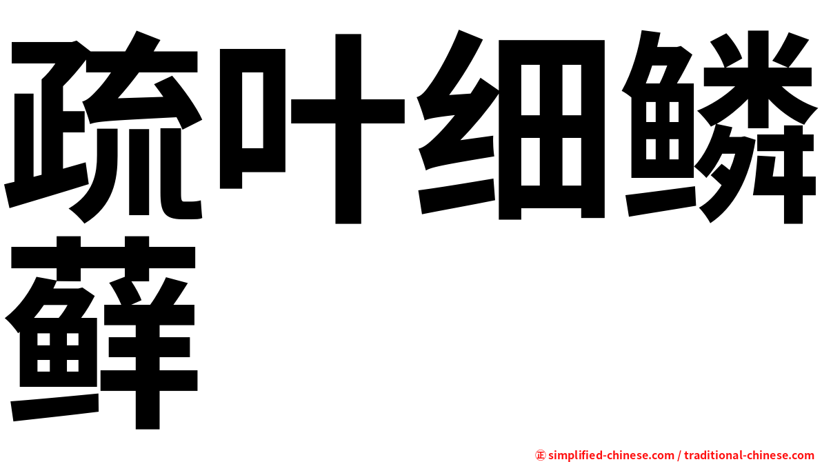 疏叶细鳞藓