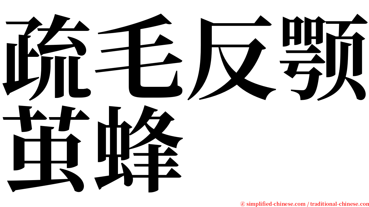 疏毛反颚茧蜂 serif font