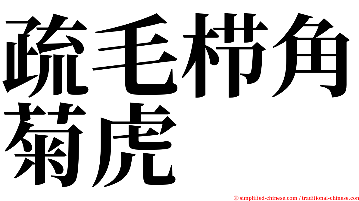 疏毛栉角菊虎 serif font