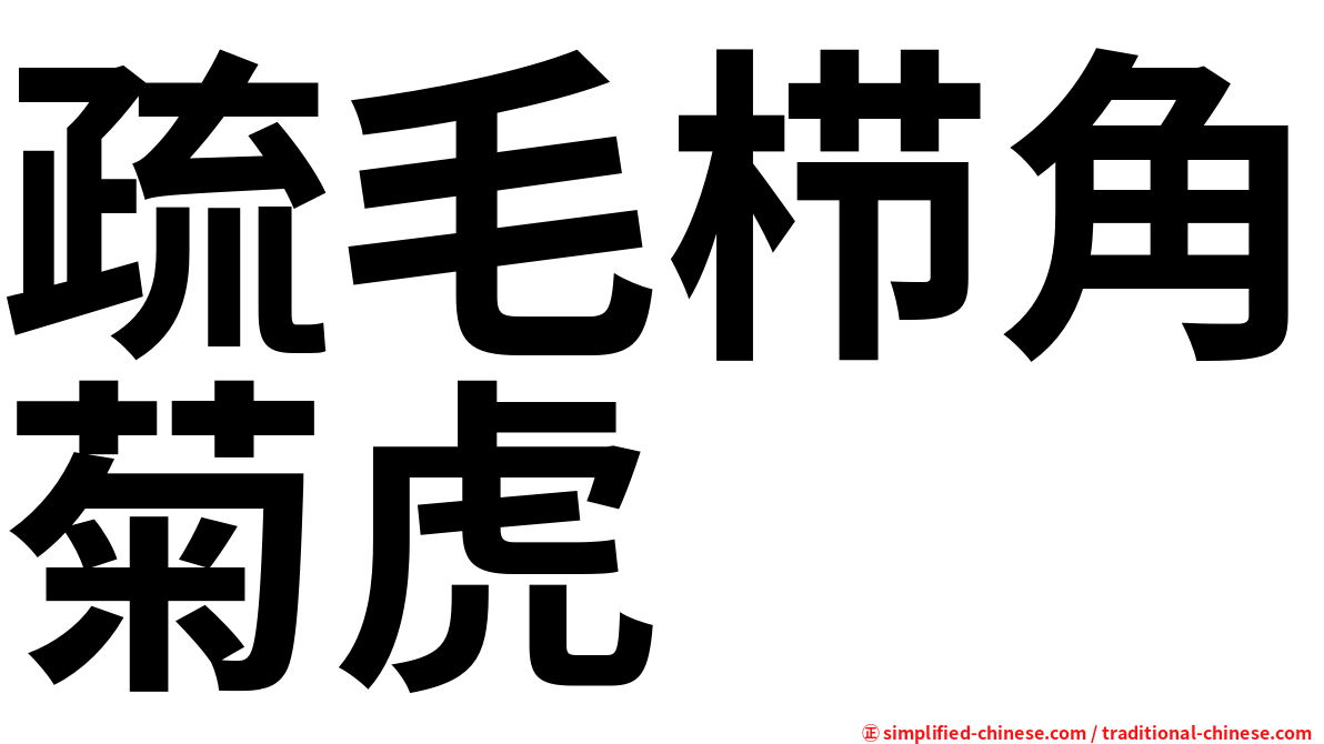 疏毛栉角菊虎