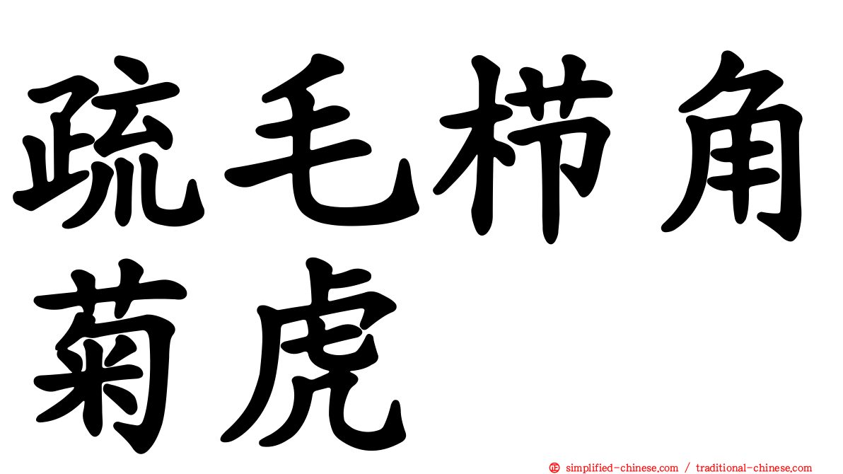 疏毛栉角菊虎
