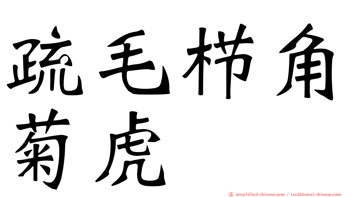 疏毛栉角菊虎