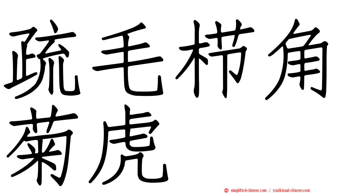 疏毛栉角菊虎