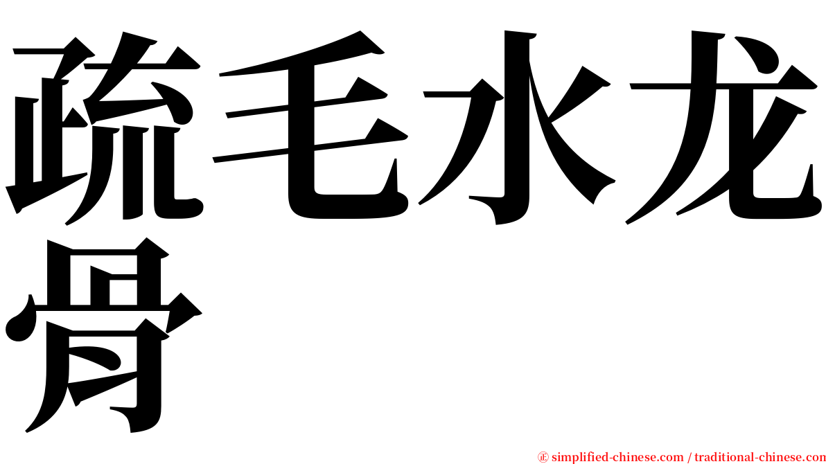 疏毛水龙骨 serif font