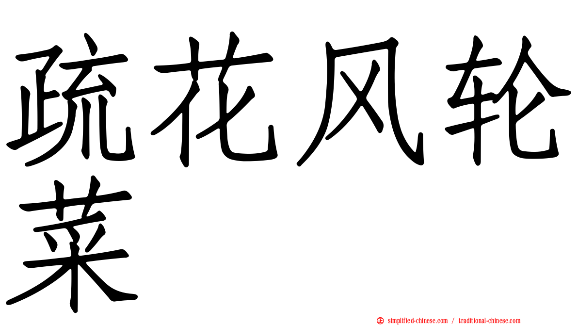 疏花风轮菜