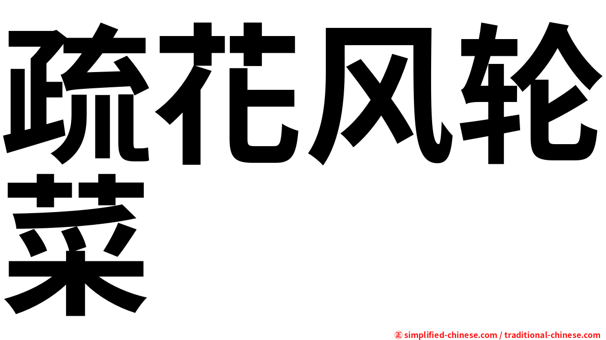 疏花风轮菜
