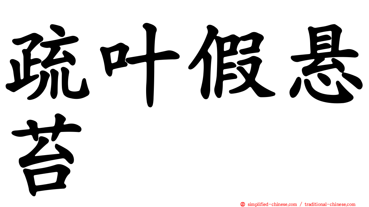 疏叶假悬苔