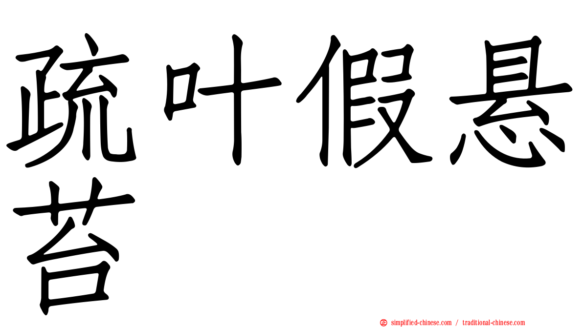 疏叶假悬苔