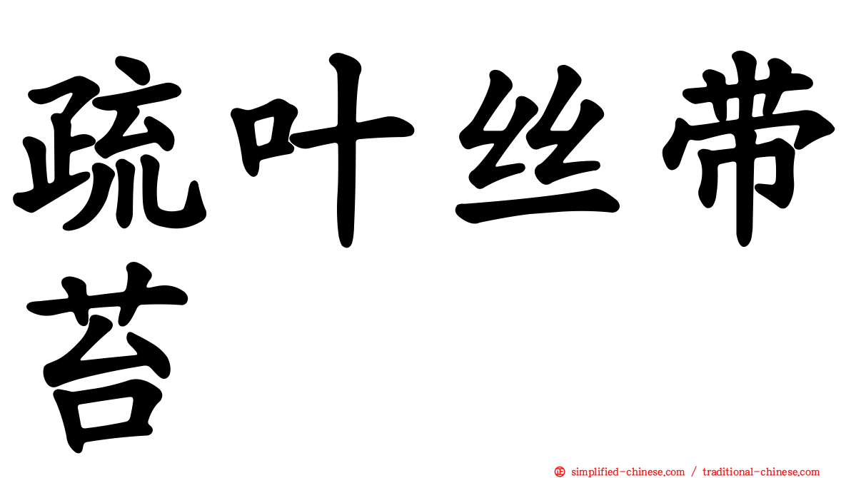疏叶丝带苔