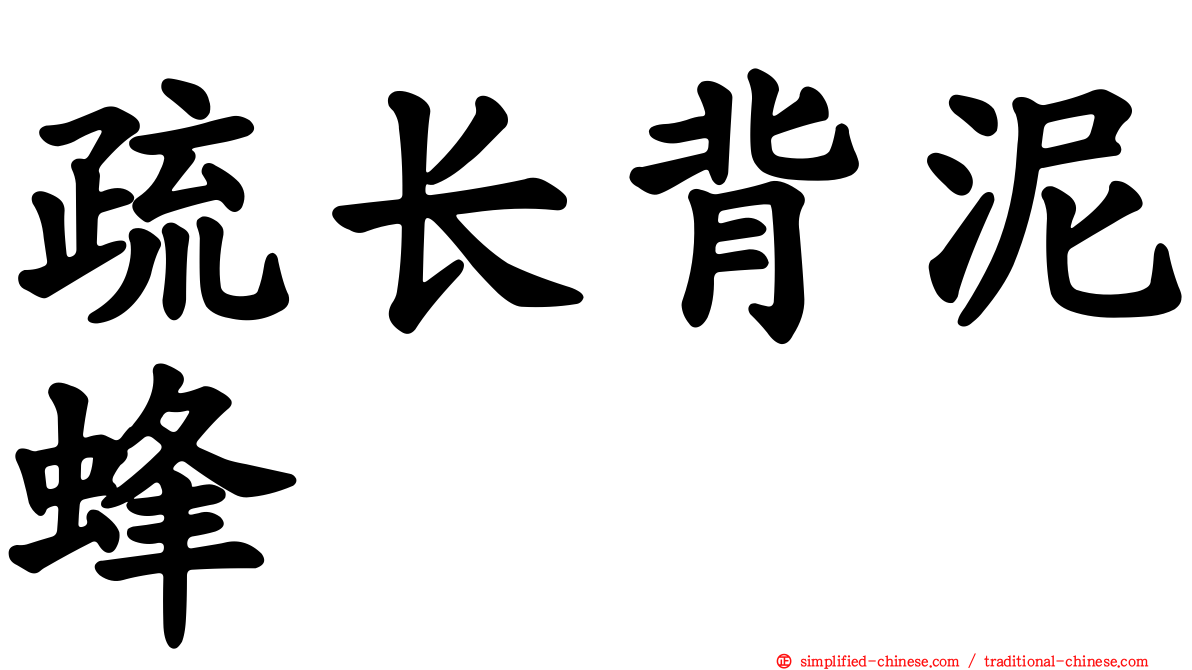 疏长背泥蜂