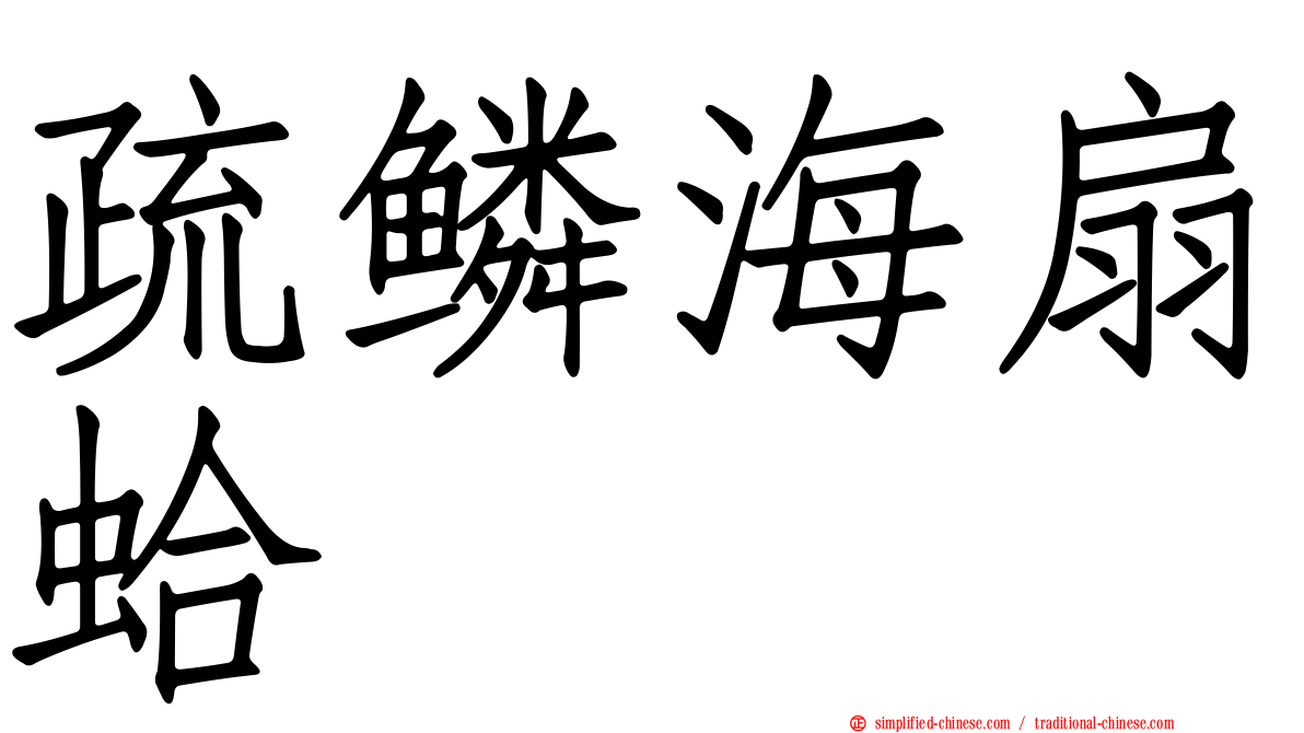 疏鳞海扇蛤