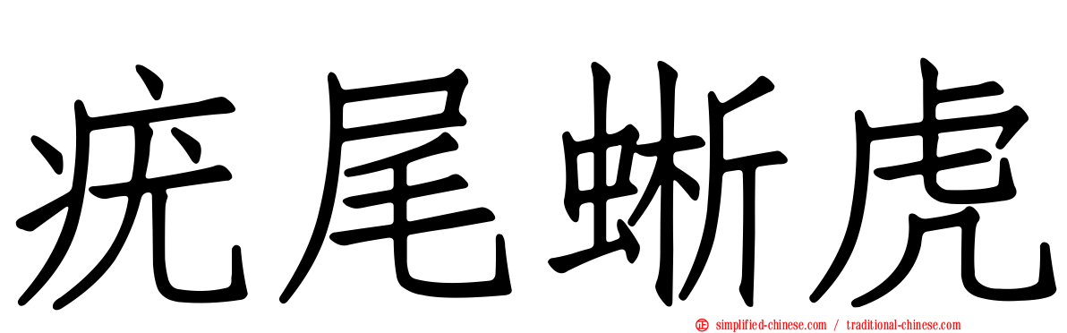 疣尾蜥虎