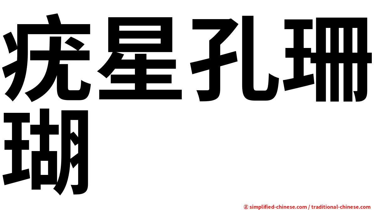 疣星孔珊瑚