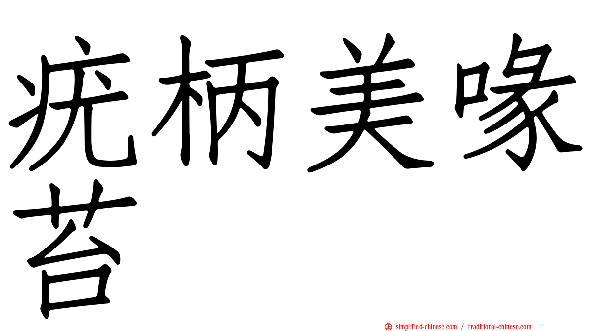 疣柄美喙苔